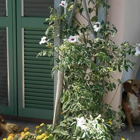 아파트 With One Bedroom In Viareggio, With Wonderful Mountain View