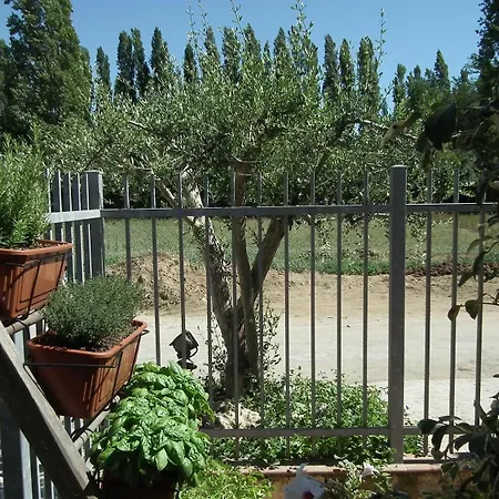 Apartment With One Bedroom In Viareggio, With Wonderful Mountain View *